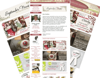 NEW!!!! Newsletter Maintenance Program for SU Demos!