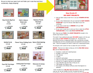 Cartville Store Setup Package